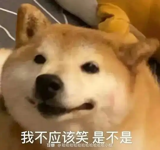  繁的相册表情包即本人