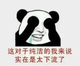 上完公开课后的表情包