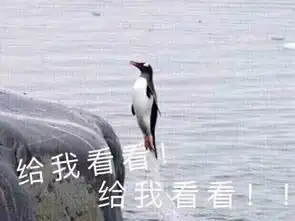  什么萧敬腾要来气象局应聘当预报员