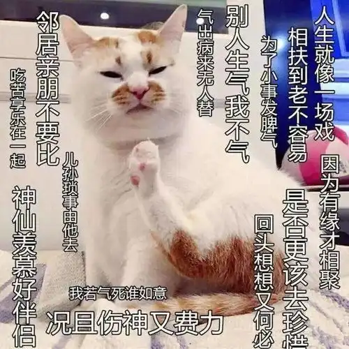 佛冷表情包莫生气