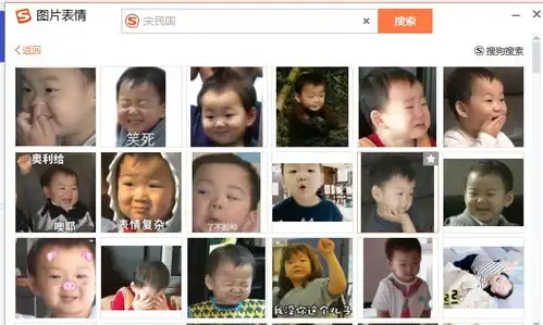  求宋民国的gif表情包