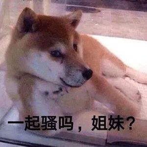  表情包丨表情包沙雕5.08