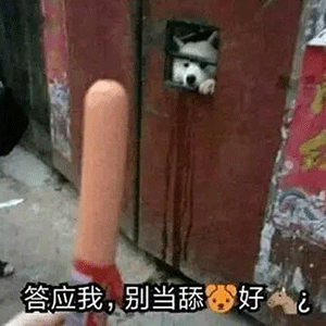  舔狗系列表情包合集我要做你的专属舔狗