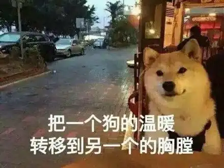  你不知道还能这样快乐