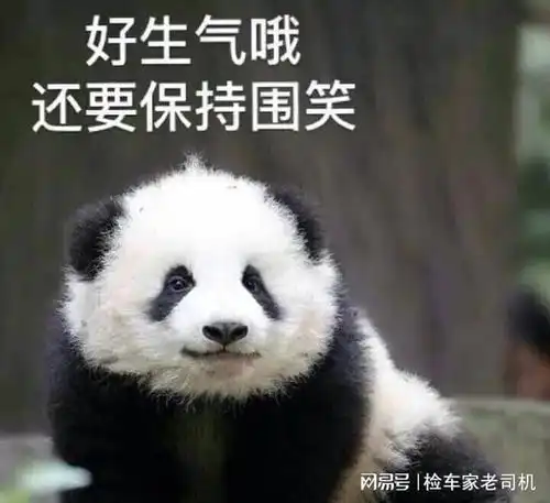  这辆美女一手捷豹,让我见识到了什么是离谱,直呼这也行