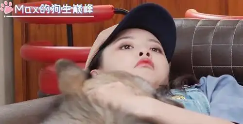  杨超越遭狗狗偷亲,有谁注意到她的表情女神形象都不顾了