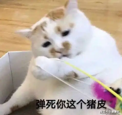 勾引表情包图片努力憋笑