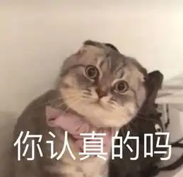  2个月就能学会法语啦用对了学习方法,你也可以