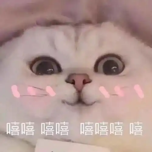  微信表情包上限变成999,快贡献出你的表情包威胁.jpg