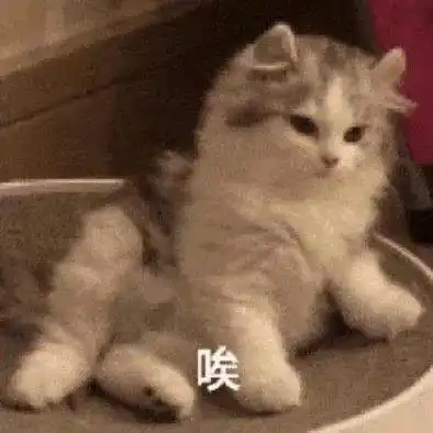  买你一晚不够再加