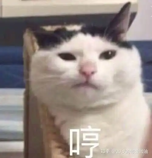  b站coderwhy老师半佛老师b站视频表情包整理