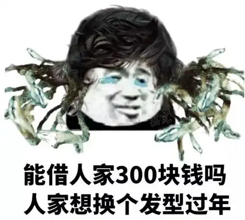  回家过年表情包
