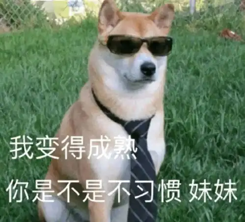  关于宅家的各种情绪我都懂百晓生和你一起解决烦恼