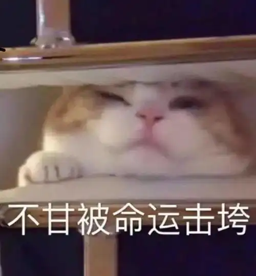  重磅租房新政房东不可随意涨房租扣押金...