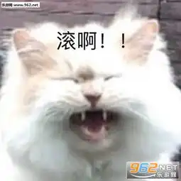  再见漂流瓶联系表情包猫猫虫猫咪图片下载乐游网游戏下载