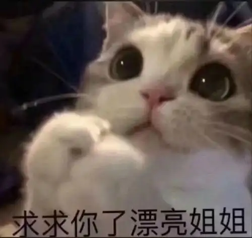 可爱小动物表情包合集29