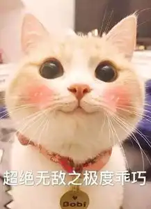  表情包丨小萌猫bobi,你就是我的小天使