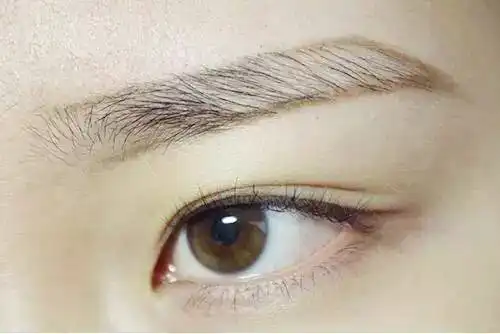  据说,眉毛画得好可以掩盖屌丝气质