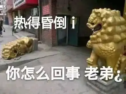 问号男孩表情包石狮子