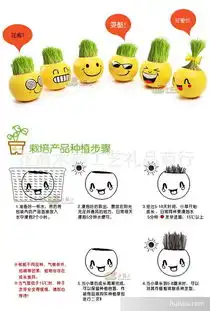  园林植物价格供应草娃娃系列炫酷表情迷你盆景种植淘气郎青草小白人系列批发价格深圳市