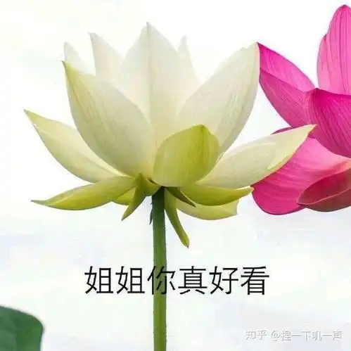  有没有比较沙雕的故事