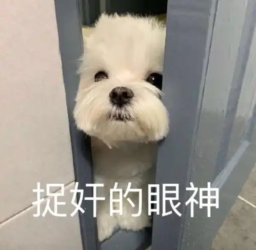  表情包沙雕表情包624期