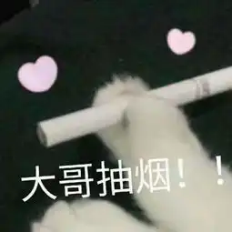 猫主子日常的表情包,萌不到你送小心心