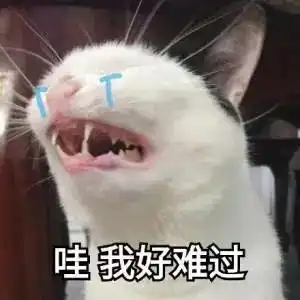  一包21万元厦门惊现天价尿不湿真相让人不忍直视