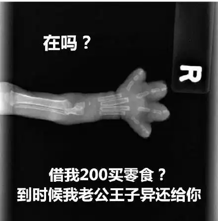  猫爪x光借钱表情包,在吗借我1000买纪梵希到时候我爸爸马云还给你