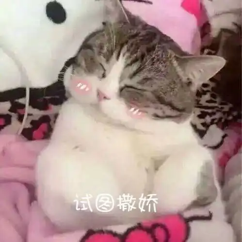  有什么值得推荐的好吃月饼