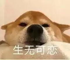  哈哈哈哈快来看看这则好消息