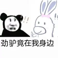  p了两张驴驴表情包
