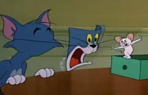  诚不欺我,猫和老鼠表面上是动画片,实际上是纪录片