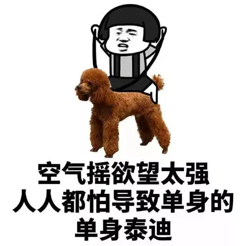  七种常见的单身狗,你属于哪一种