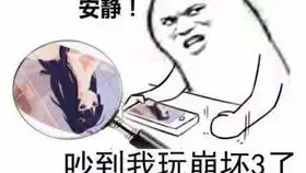  崩坏3斗图大法第二十波