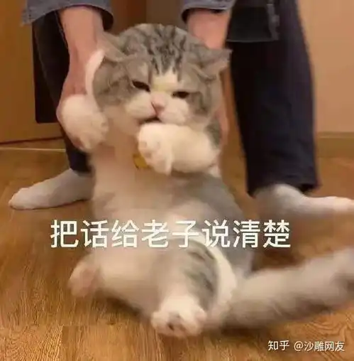 huh猫表情包动图问号