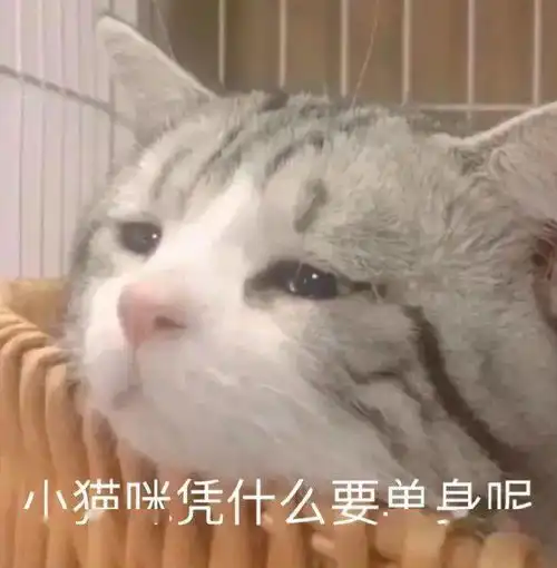  无内鬼,抓紧收图