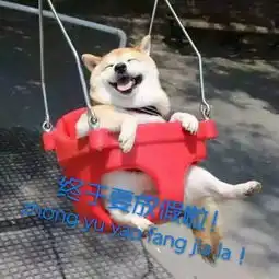  第十周来了成贤全新一周从这里开始