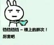  百度知乎dhy大红鹰
