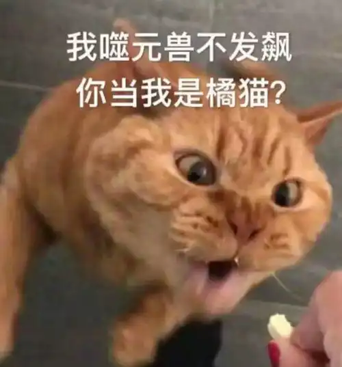 我已经躺好了表情包橘猫