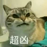  为什么现在的表情包以丑为美