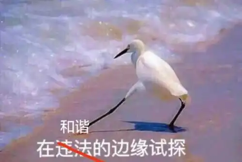 违章表情包试探