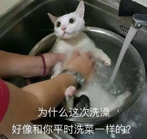  你都存了哪些沙雕表情包