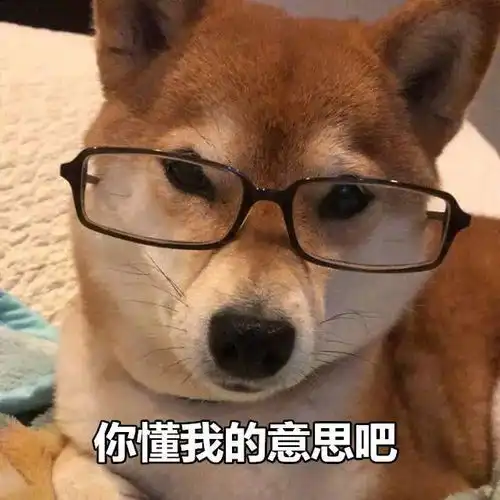  进博会看过了吗数字建造黑科技了解一下