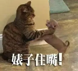 猫屎的表情包吃屎