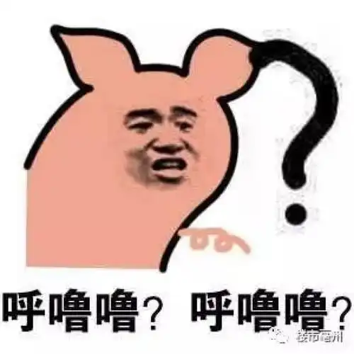 问号男孩表情包表情包