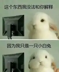  朋友,你听过s9吗电子竞技小科普