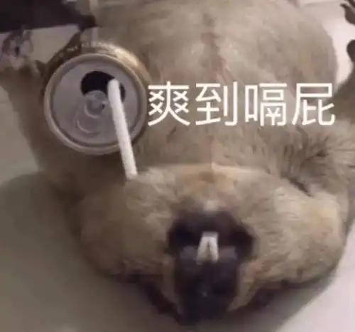  台州男人与女人的通病,找找有没有你的影子看完笑喷了