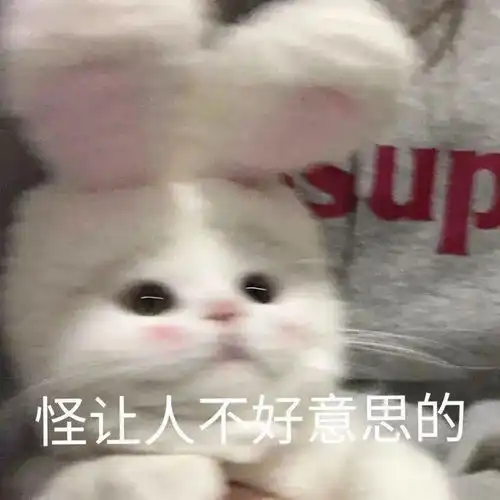  沙雕表情怪让人不好意思的