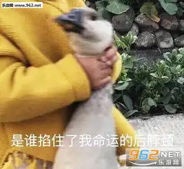 giao个微信表情包撤回